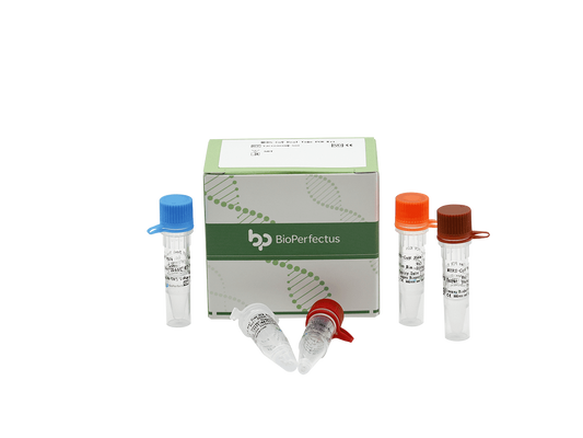 MERS-CoV Real Time PCR Kit