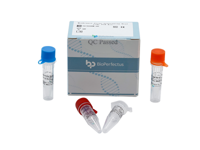Monkeypox Virus Genotyping Real Time PCR Kit