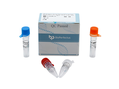Monkeypox Virus/Varicella-zoster Virus/Variola Virus Real Time PCR Kit