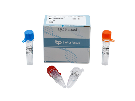 Monkeypox Virus/Varicella-zoster Virus/Variola Virus Real Time PCR Kit