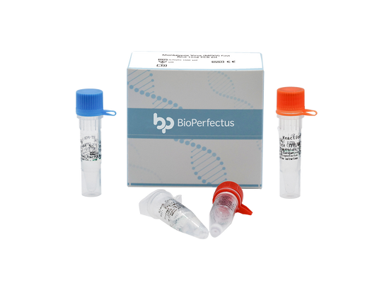 Monkeypox Virus (MPXV) Fast Real Time PCR Kit