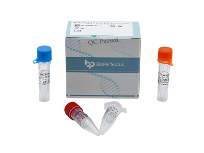 Monkeypox Virus and Orthopoxvirus Real Time PCR Kit