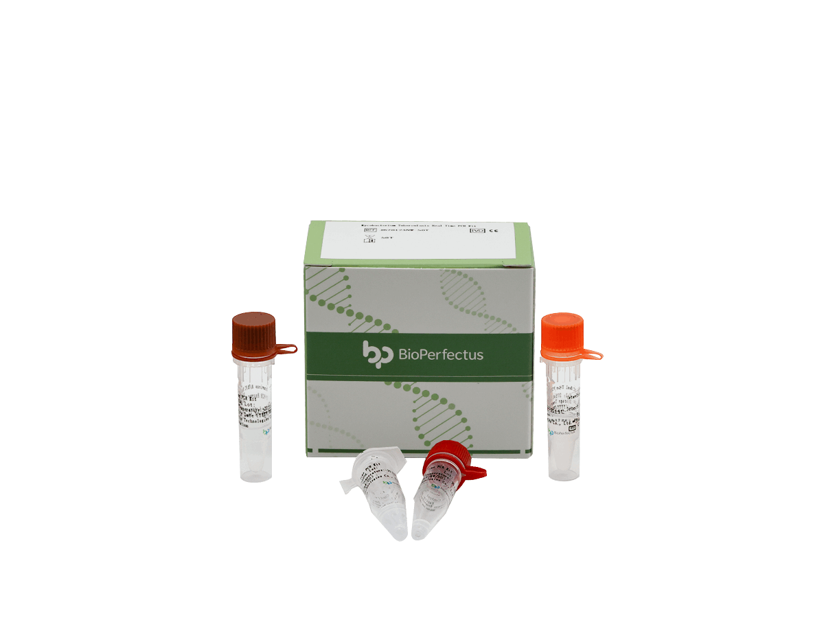 BioPerfectus Mycobacterium Tuberculosis Real Time PCR Kit