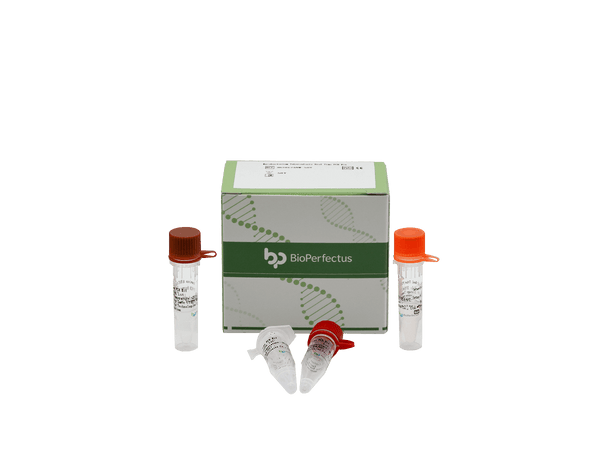 BioPerfectus Mycobacterium Tuberculosis Real Time PCR Kit