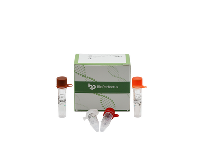 Mycobacterium Tuberculosis Real Time PCR Kit