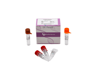 BioPerfectus Mycoplasma Genitalium Real Time PCR Kit