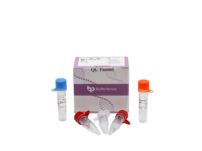 BioPerfectus Mycoplasma Hominis Real Time PCR Kit