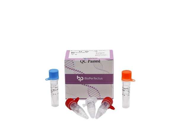 BioPerfectus Mycoplasma Hominis Real Time PCR Kit