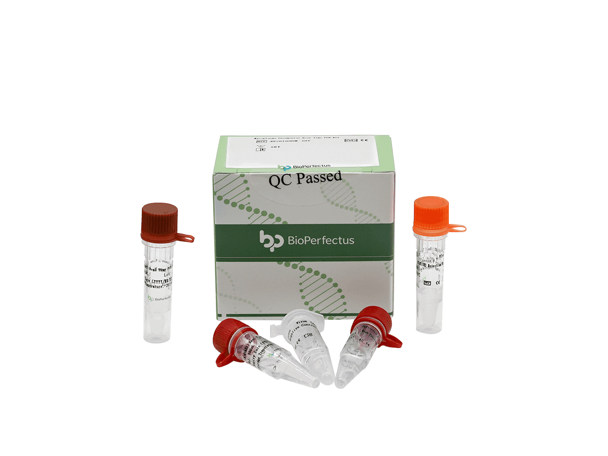 BioPerfectus Mycoplasma Pneumoniae Real Time PCR Kit