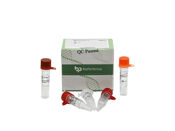 BioPerfectus Mycoplasma Pneumoniae Real Time PCR Kit