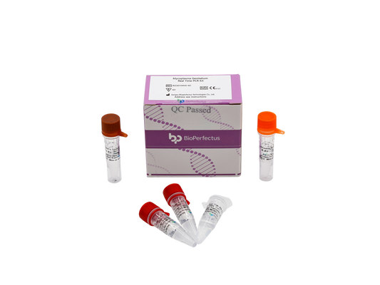 Mycoplasma Genitalium Real Time PCR Kit