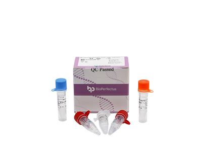 Mycoplasma Hominis Real Time PCR Kit