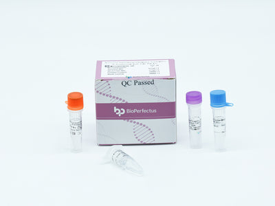 Neisseria Gonorrhoeae/Chlamydia Trachomatis/U.urealyticum Real-Time PCR Kit