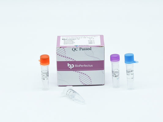 Neisseria Gonorrhoeae/Chlamydia Trachomatis/U.urealyticum Real-Time PCR Kit