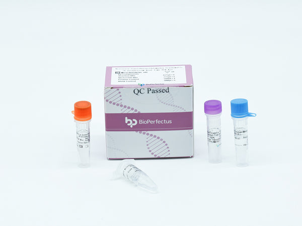 BioPerfectus Neisseria Gonorrhoeae/Chlamydia Trachomatis/U.urealyticum Real-Time PCR Kit