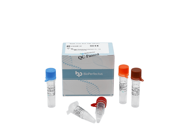 BioPerfectus Nipah Virus Real Time PCR Kit