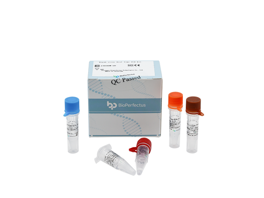 Nipah Virus Real Time PCR Kit