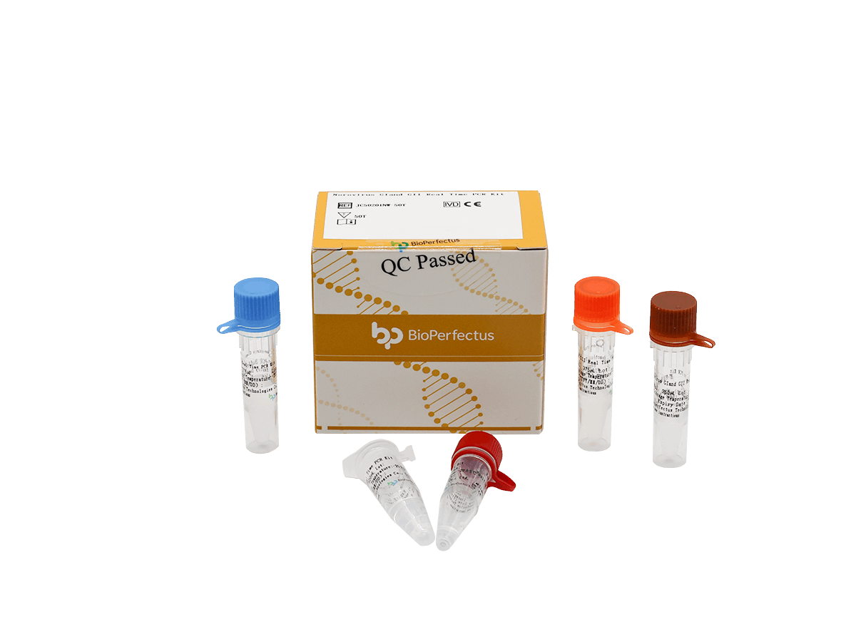 BioPerfectus Norovirus GI and GII Real Time PCR Kit