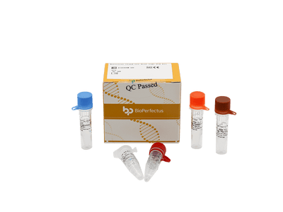 BioPerfectus Norovirus GI and GII Real Time PCR Kit