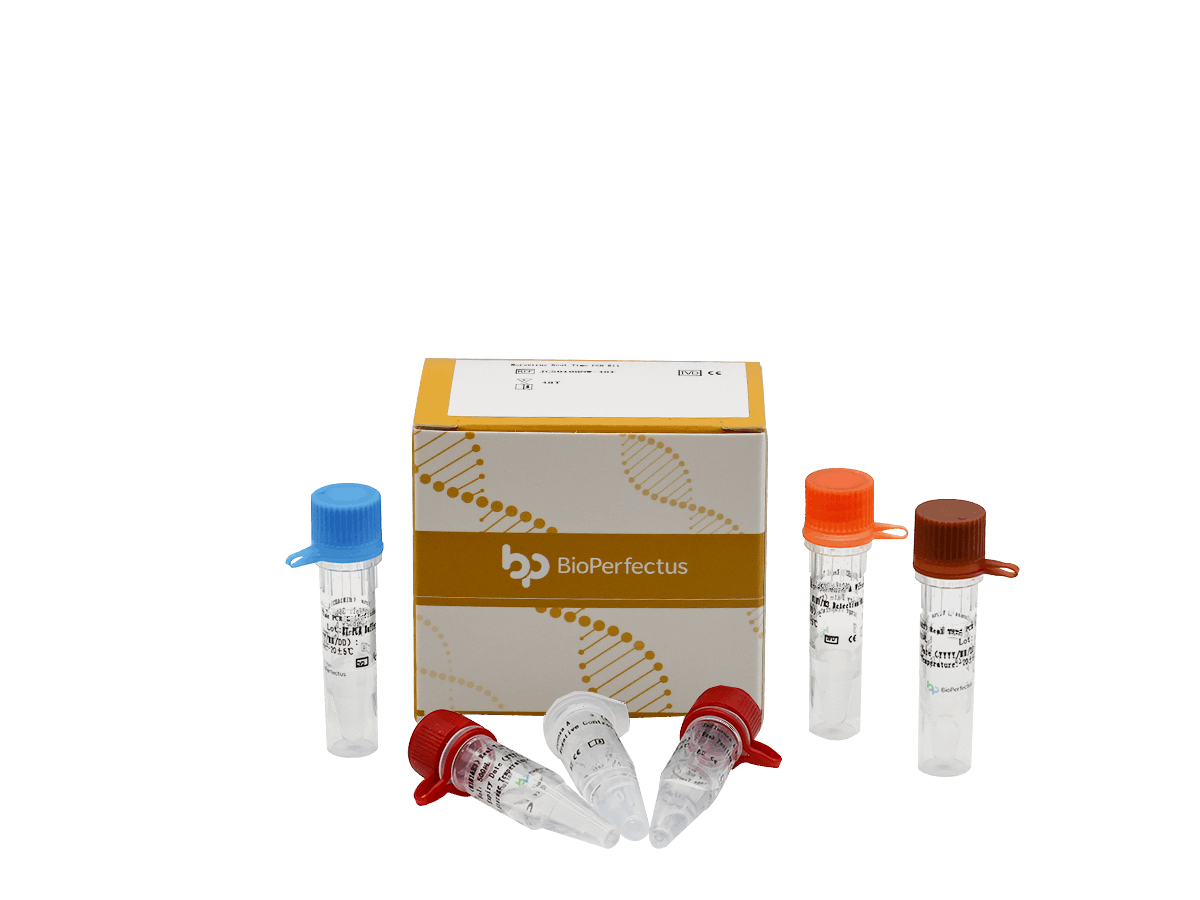 BioPerfectus Norovirus Real Time PCR Kit