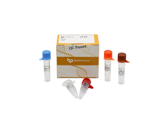 Norovirus GI and GII Real Time PCR Kit