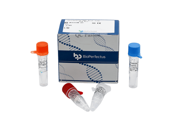BioPerfectus Plasmodium DNA Real Time PCR Kit
