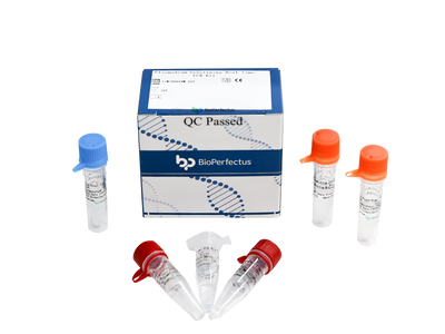 Plasmodium Genotyping Real Time PCR Kit