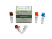 BioPerfectus Measles and Rubella Viruses Real-Time PCR Kit