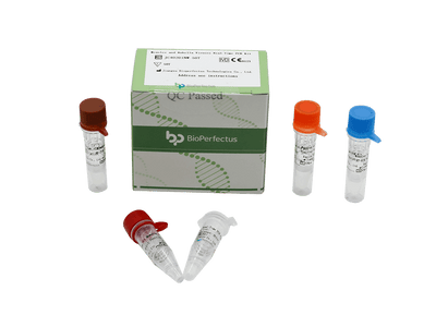 BioPerfectus Measles and Rubella Viruses Real-Time PCR Kit