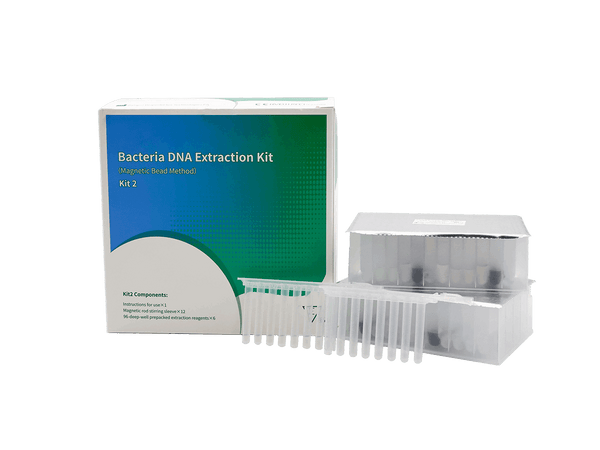 BioPerfectus Bacteria DNA Extraction Kit (Magnetic Bead Method)