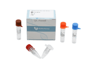 BioPerfectus Marburg Virus Real Time PCR Kit