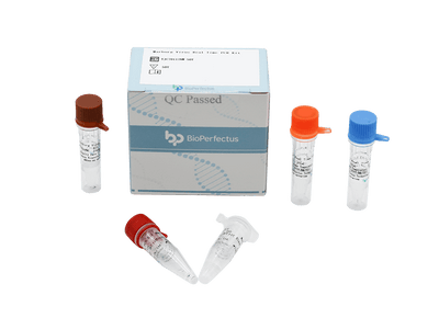 BioPerfectus Marburg Virus Real Time PCR Kit