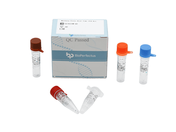 BioPerfectus Marburg Virus Real Time PCR Kit