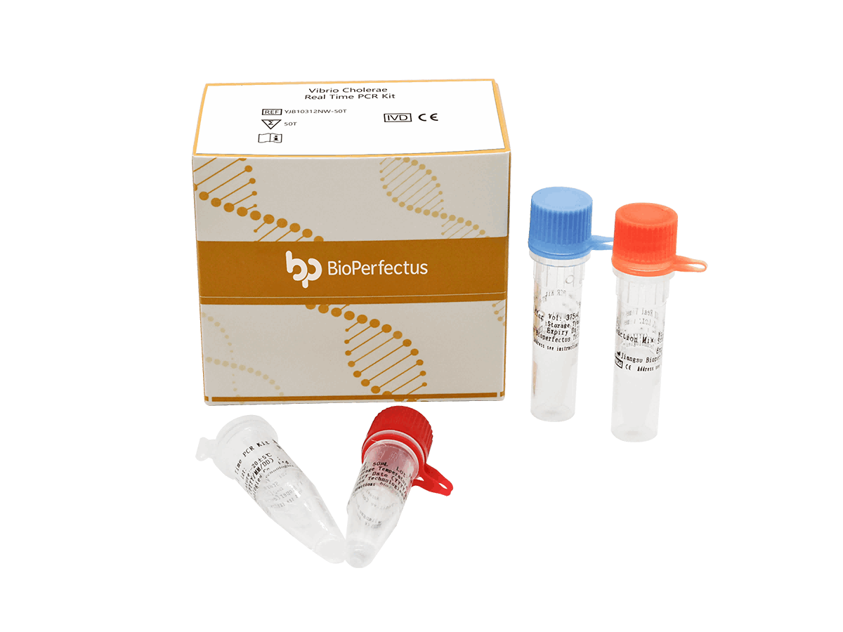 BioPerfectus Vibrio Cholerae Real Time PCR Kit