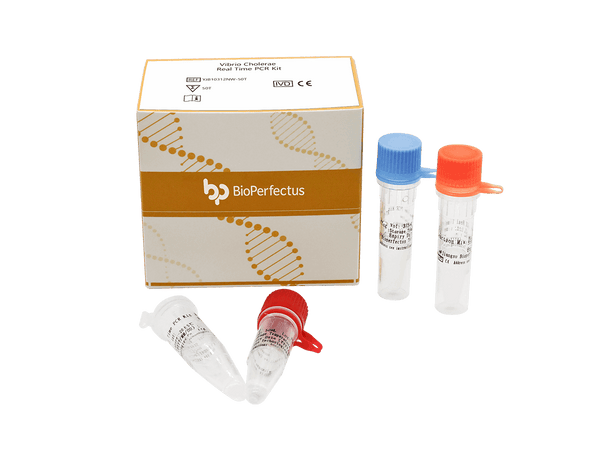 BioPerfectus Vibrio Cholerae Real Time PCR Kit