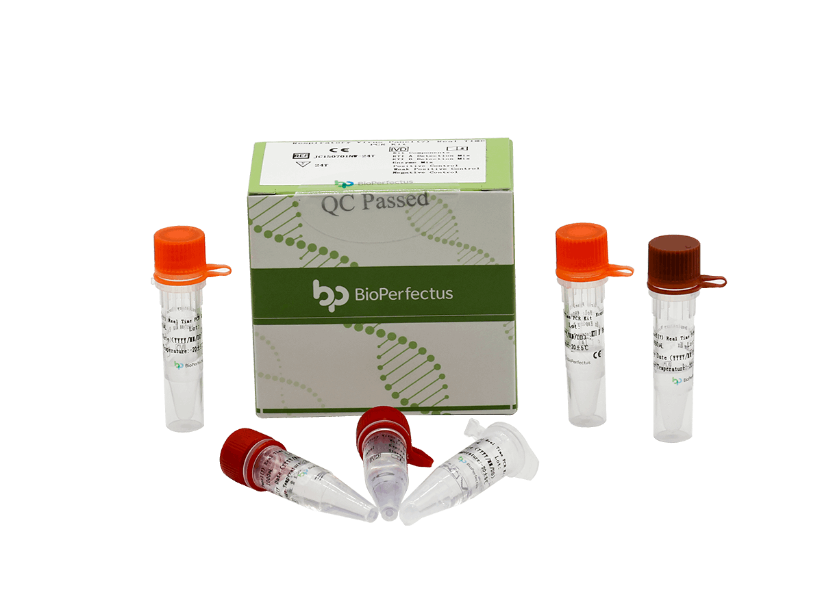 BioPerfectus Respiratory Virus Panel (7) Real Time PCR Kit