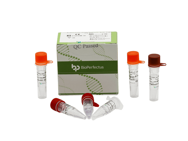 BioPerfectus Respiratory Virus Panel (7) Real Time PCR Kit