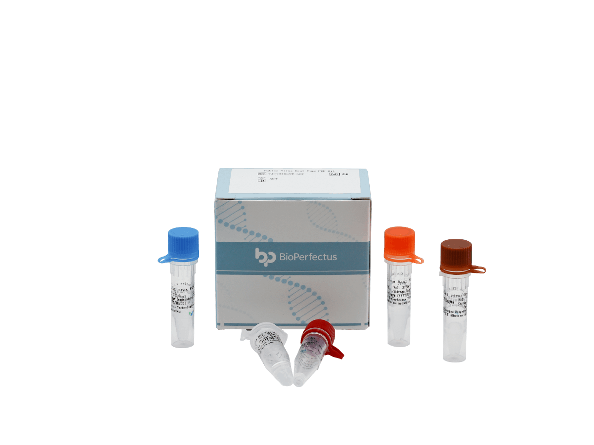 BioPerfectus Rabies Virus Real Time PCR Kit