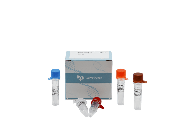BioPerfectus Rabies Virus Real Time PCR Kit