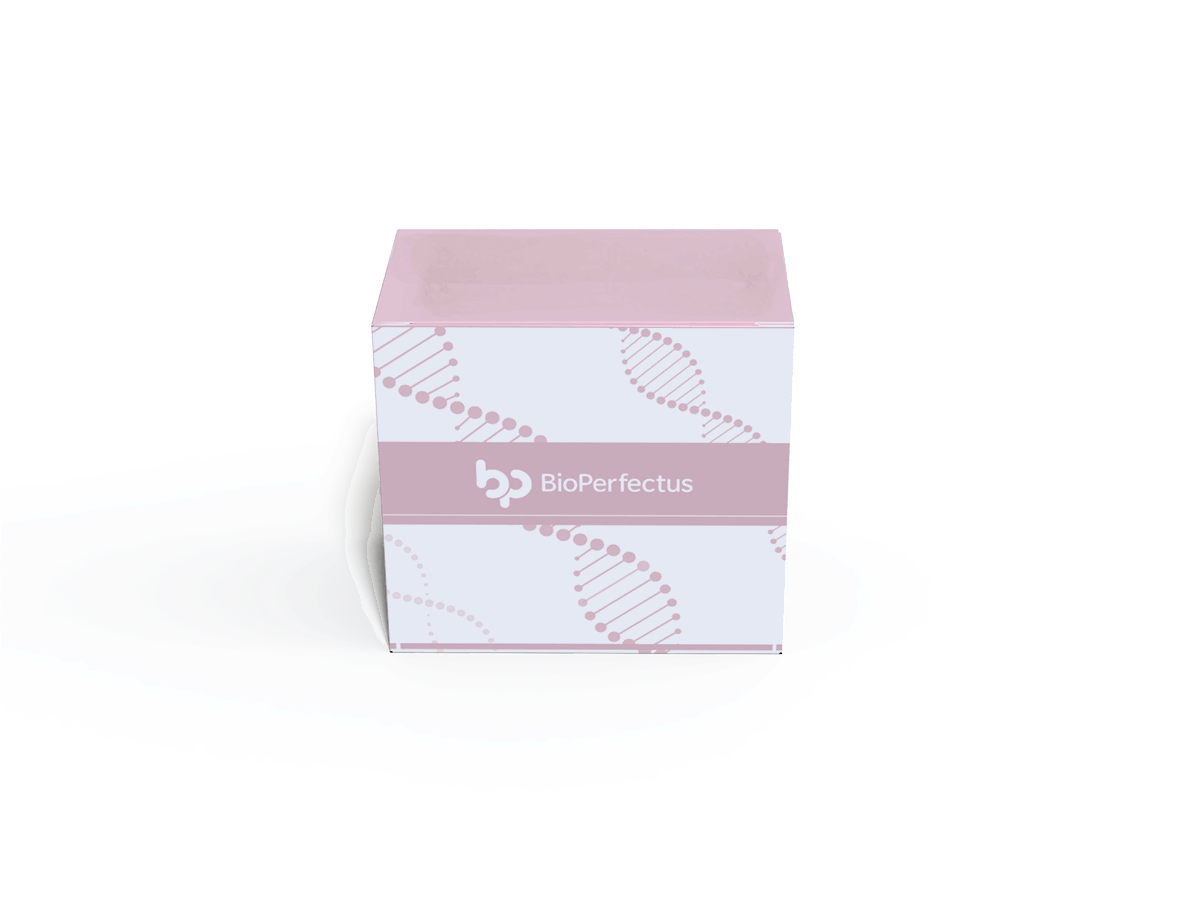 BioPerfectus Human Cytomegalovirus Real Time PCR Kit