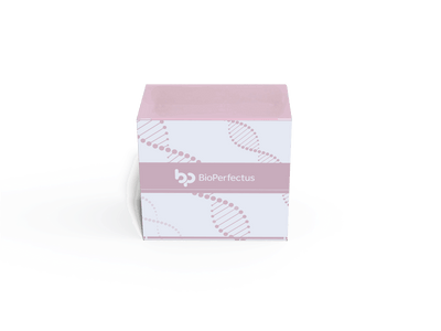 BioPerfectus Human Cytomegalovirus Real Time PCR Kit