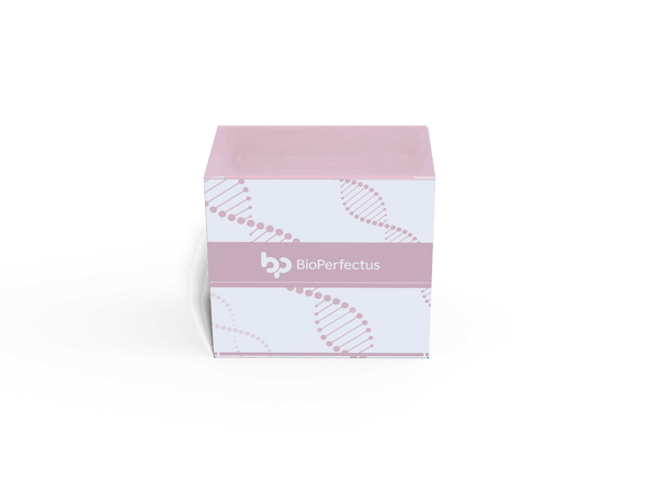 BioPerfectus Human Cytomegalovirus Real Time PCR Kit