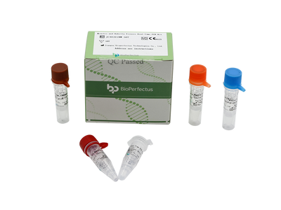 Measles and Rubella Viruses Real-Time PCR Kit