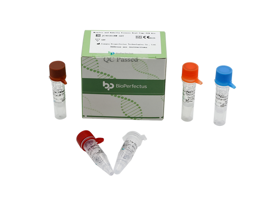 Measles and Rubella Viruses Real-Time PCR Kit
