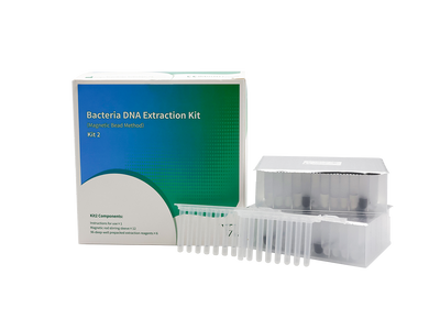 Bacteria DNA Extraction Kit (Magnetic Bead Method)