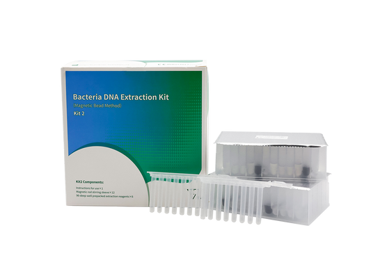 Bacteria DNA Extraction Kit (Magnetic Bead Method)