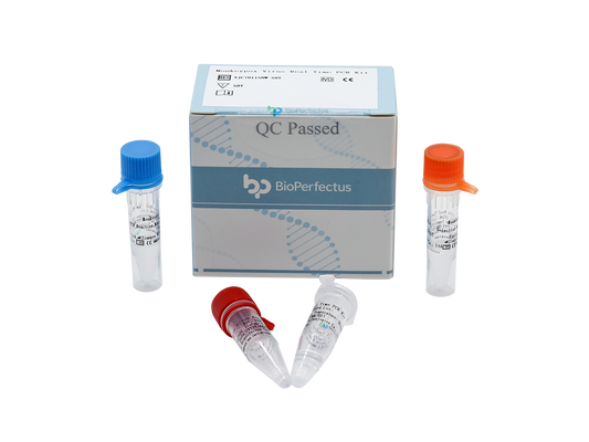 Monkeypox Virus Real Time PCR Kit