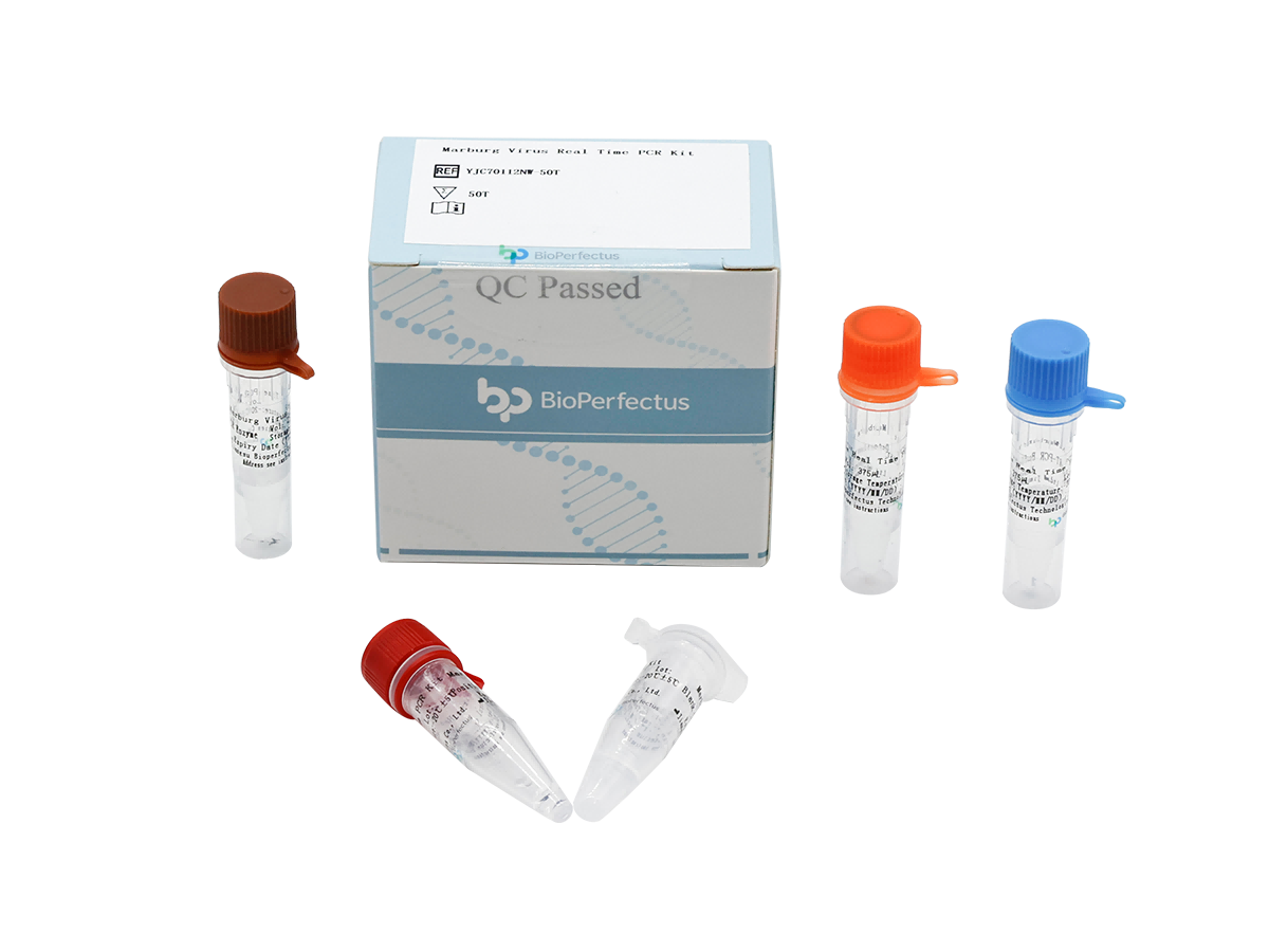 Marburg Virus Real Time PCR Kit