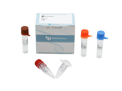 Marburg Virus Real Time PCR Kit