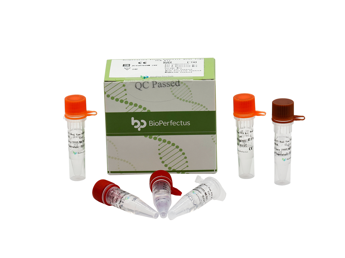 Respiratory Virus Panel (7) Real Time PCR Kit